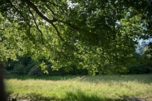 Nicole Rijkers fotografie Park Schothorst Amersfoort (39)