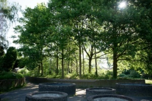 Nicole Rijkers fotografie Park Schothorst Amersfoort (40)