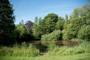 Nicole Rijkers fotografie Park Schothorst Amersfoort (41)