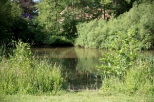 Nicole Rijkers fotografie Park Schothorst Amersfoort (42)