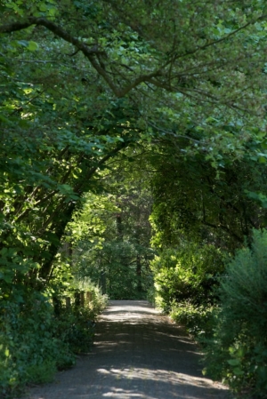 Nicole Rijkers fotografie Park Schothorst Amersfoort (46)