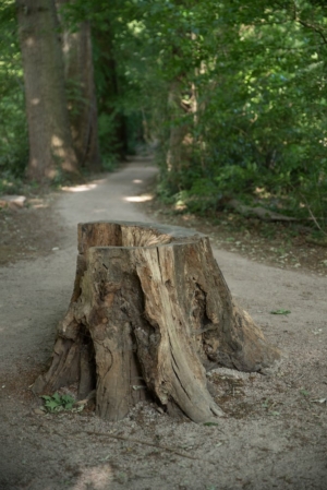 Nicole Rijkers fotografie Park Schothorst Amersfoort (8)