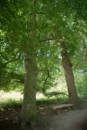 Nicole Rijkers fotografie Park Schothorst Amersfoort (9)