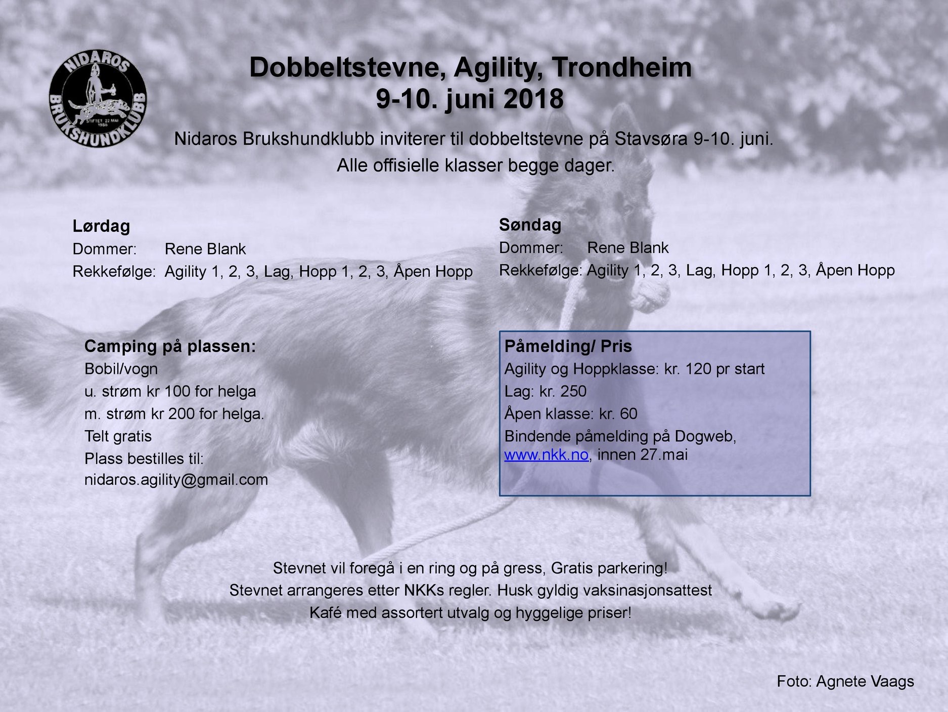 Dobbeltstevne i agility 9.- 10. Juni på Stavsøra