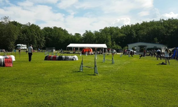 Velkommen til Trønderhelga Agility del 2, helgen 22. – 23. august på Stavsøra