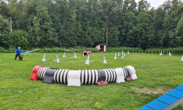 Klubbmesterskap i Agility NBHK lørdag 25. september