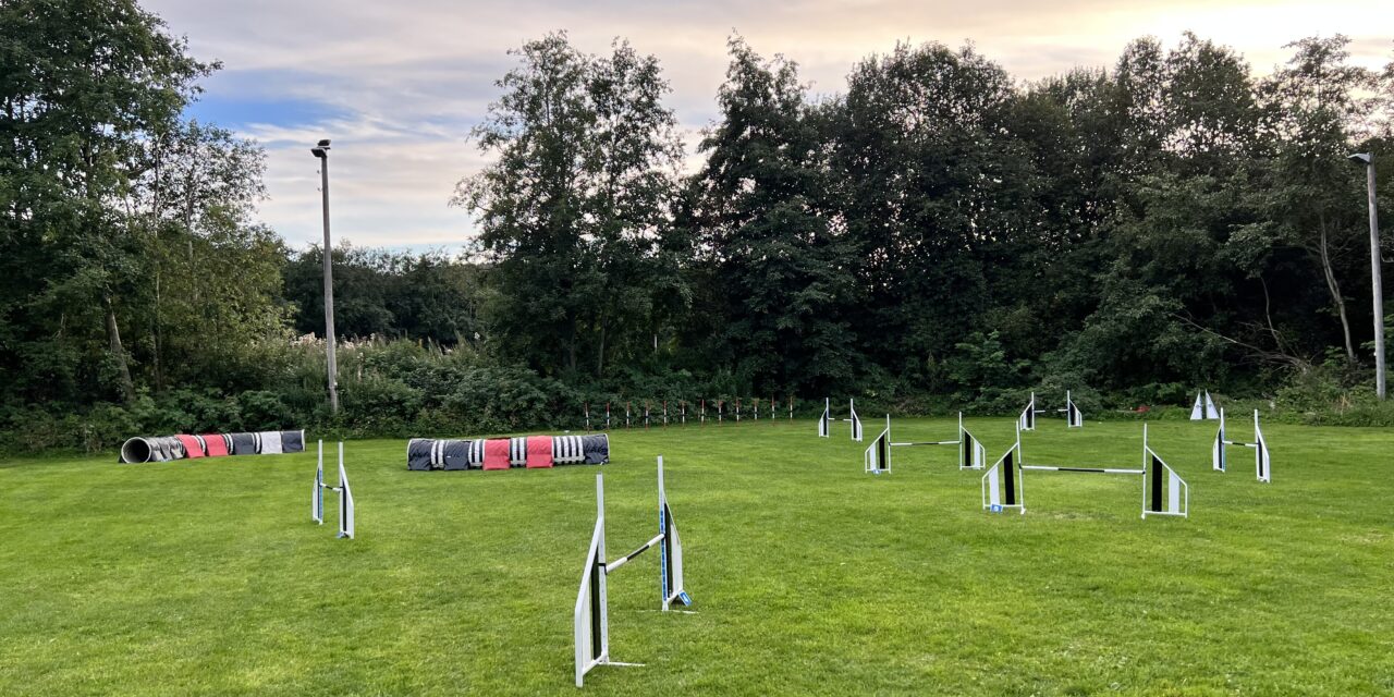 Blåbærstevne torsdag 14. september 2023