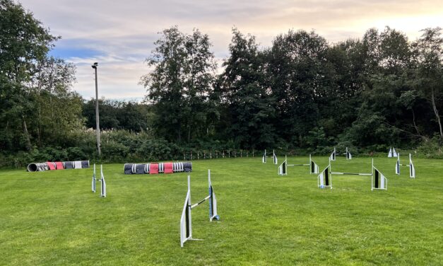 Blåbærstevne torsdag 14. september 2023