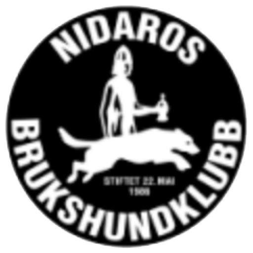 Mandat for komiteene i Nidaros BHK ( revidering i 2025)
