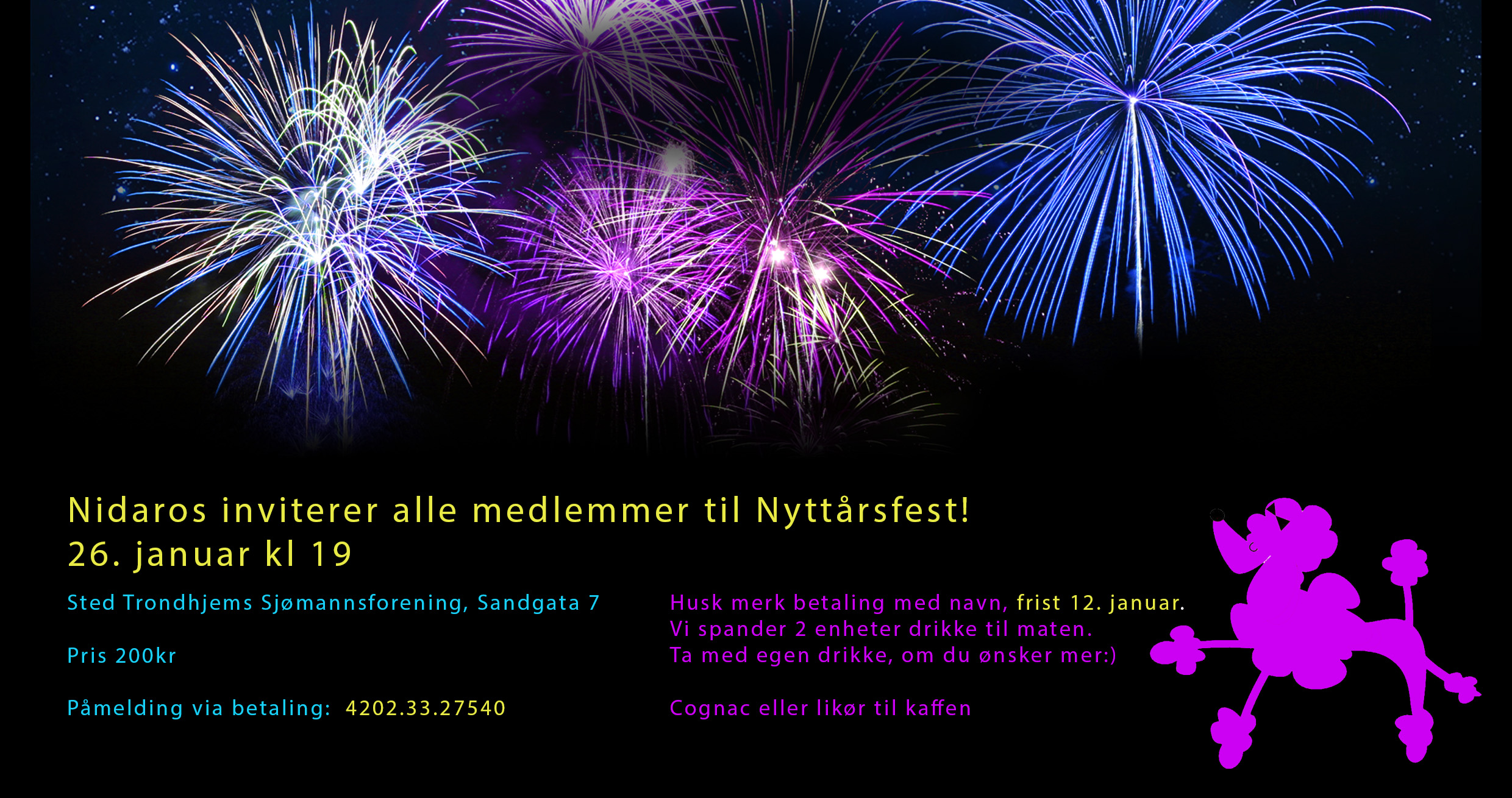 Nyttårsfest for alle medlemmer!