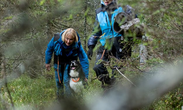 Kurset er fulltegnet!! Runderingskurs 14.-16. mai