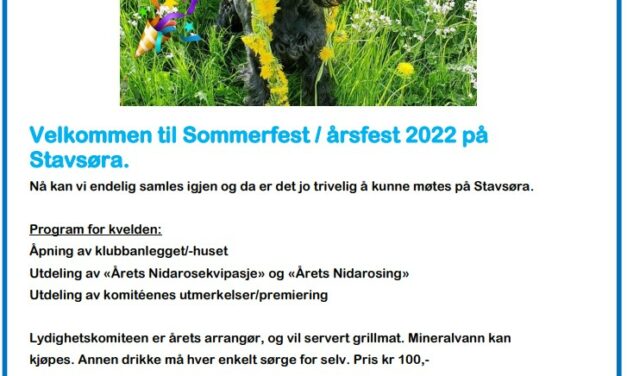 Invitasjon til sommerfest!