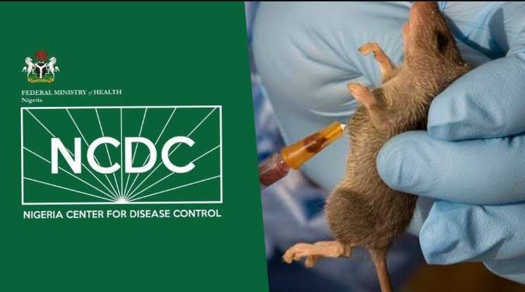 Lassa fever