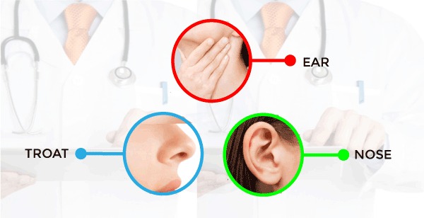 Ear Nose Throat ENT