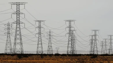 Power grid electricity generation