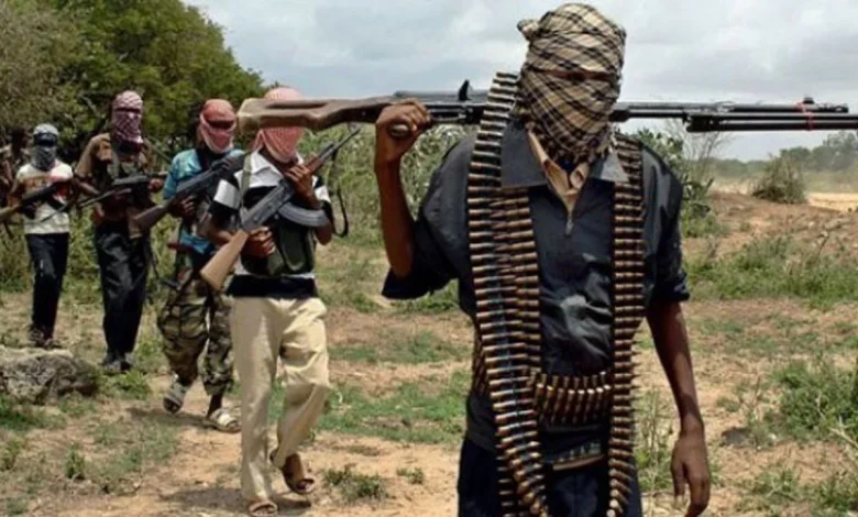 Seven policemen in Zamfara community in fresh attack