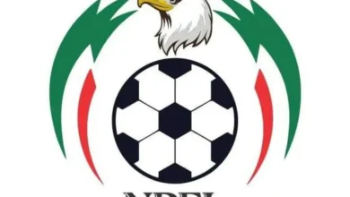 NPFL new logo