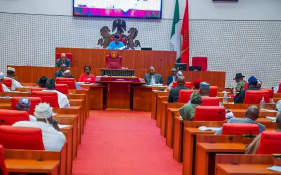 SENATE National Assembly NASS