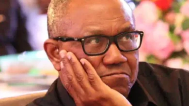 Former Anambra governor Peter Obi