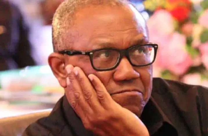 Former Anambra governor Peter Obi