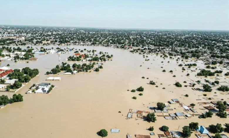 Flood in Maiduguri Red Cross seeks support for flood victims