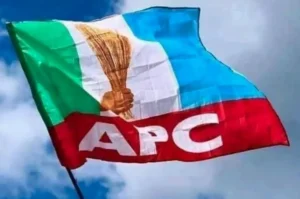 APC flag 1