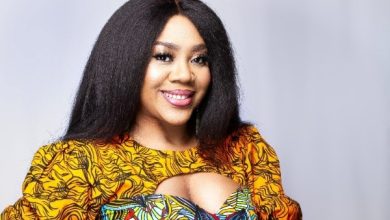 stella damasus