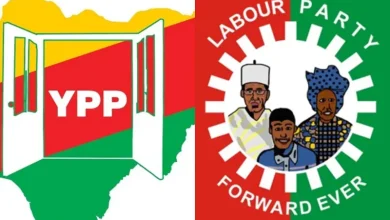 YPP and LP logos