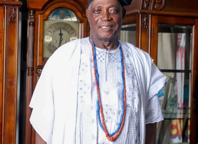 Excitement builds in Ibadan as Ladoja set for installation as 44th Olubadan 1 Nigerians Online News IMG 5305