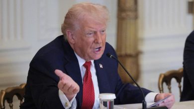 Trump halts Iran attack