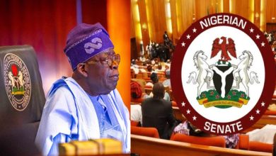 Nigerian Senate urges Tinubu to end Boko Haram reintegration, adopt tougher anti-terror measures 5 Nigerians Online News IMG 9868