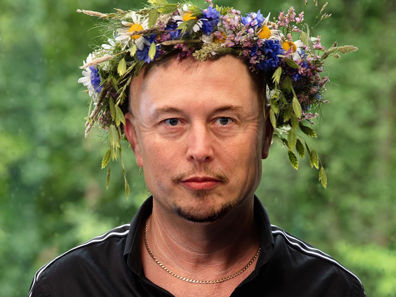 Elon Musk – Ett personporträtt