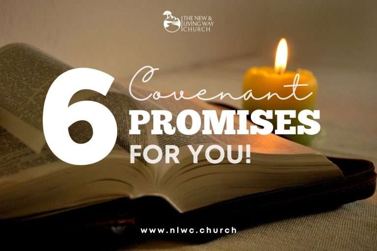 6 Covenant Promises for You as a Believer 