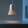 Secto-Design-Petite-4600-pendant-lamp