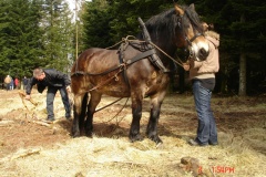 Utrilla og Henrik Bull