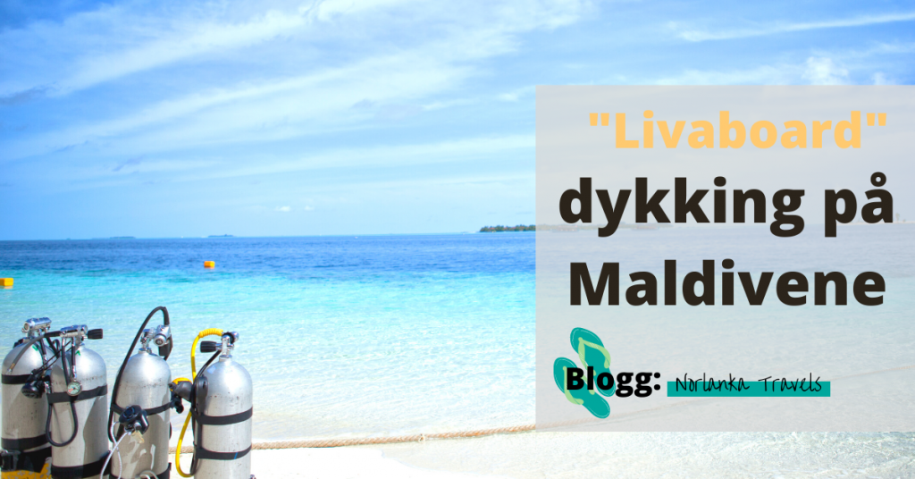 liveaboard dykking Maldiene