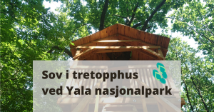 tretopphus ved Yala