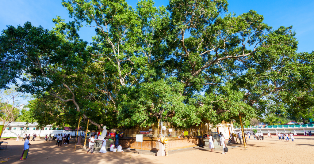 Kataragama hellig tre tempel