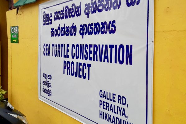 Skilpaddeklekkeri Hikkaduwa