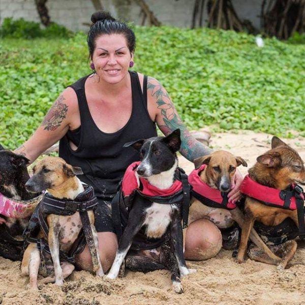 Marie redder gatehunder på Sri Lanka ANIMAL SOS