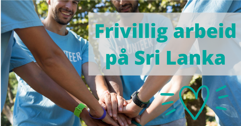 Frivillig arbeid på Sri Lanka