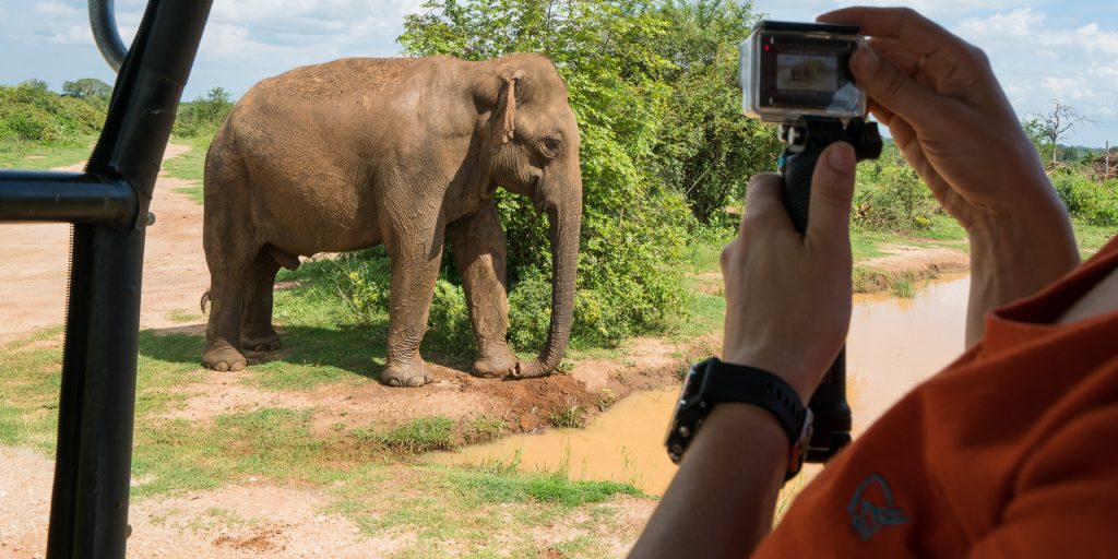 reise til sri lanka