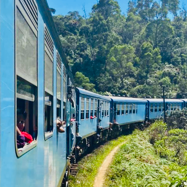 togreise sri lanka familie