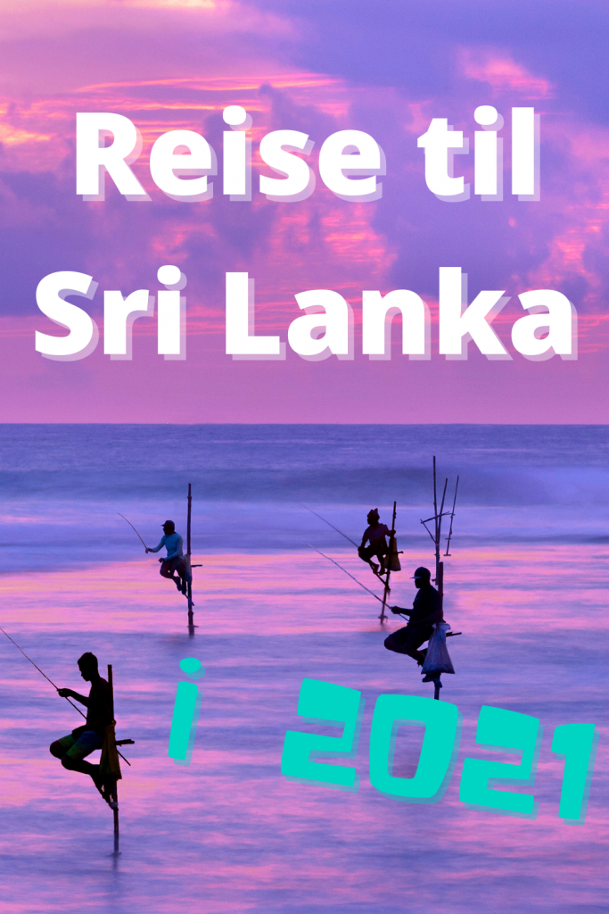 Reise til Sri Lanka i 2021