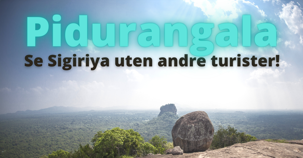 Pidurangala Se Sigiriya uten andre turister