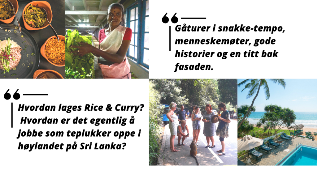 gruppereise sri lanka med norsk guide