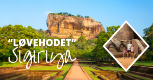 løvehodet Sigiriya på Sri Lanka