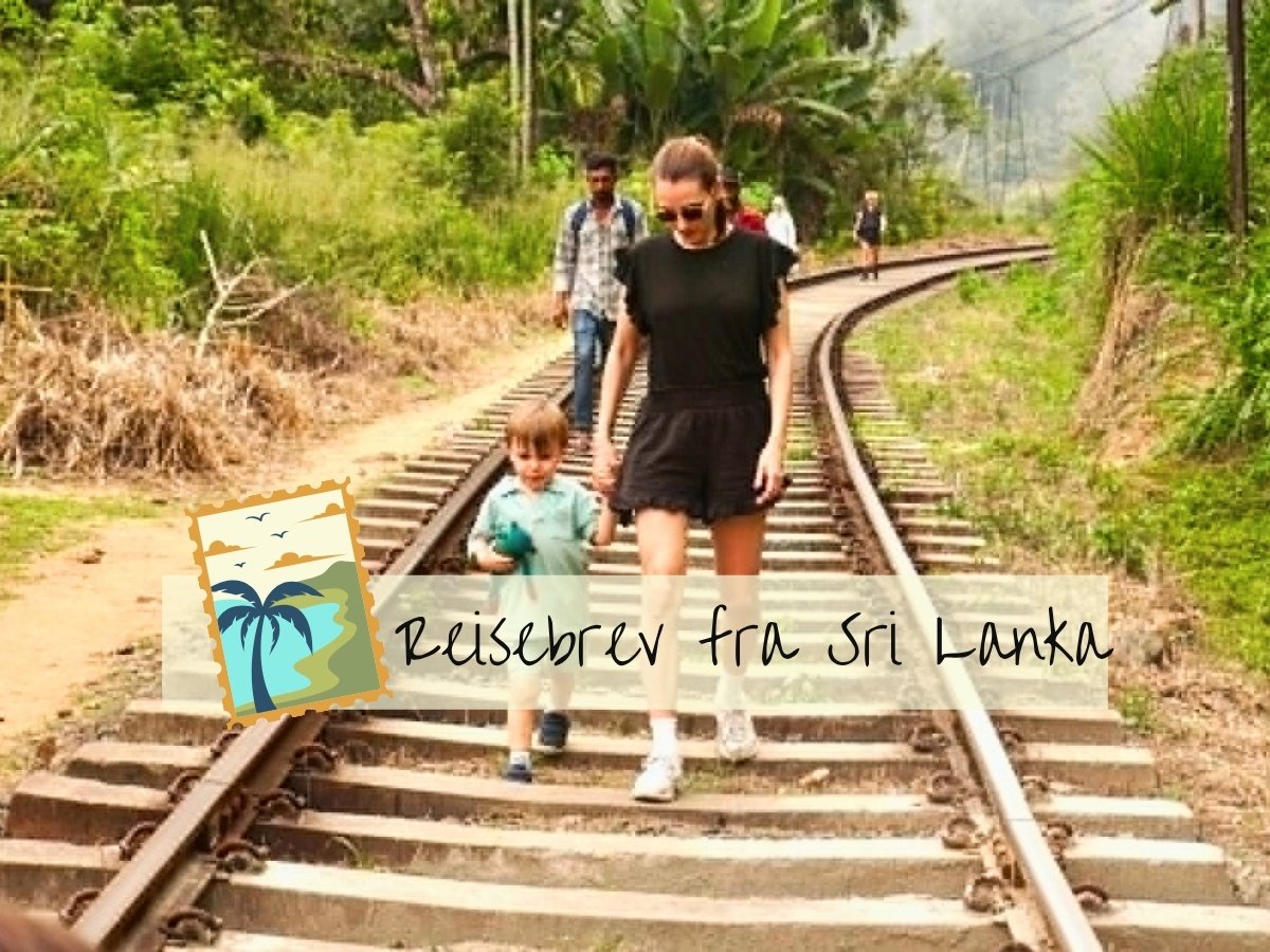 reisebrev fra Sri Lanka famileferie