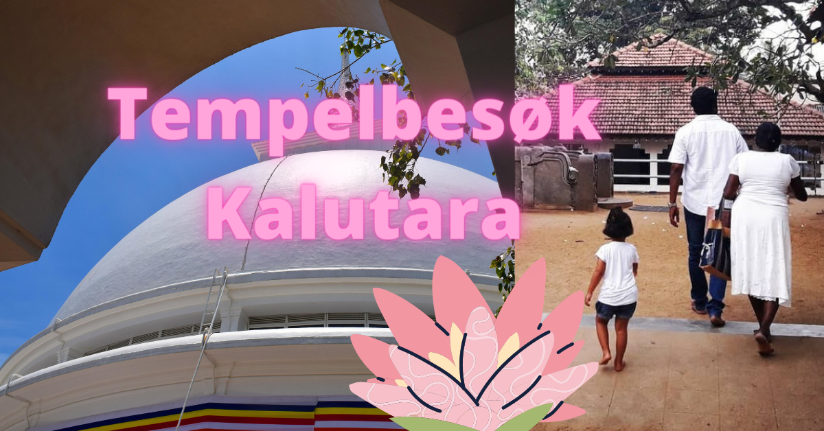 tempelbesøk Kalutara Sri Lanka