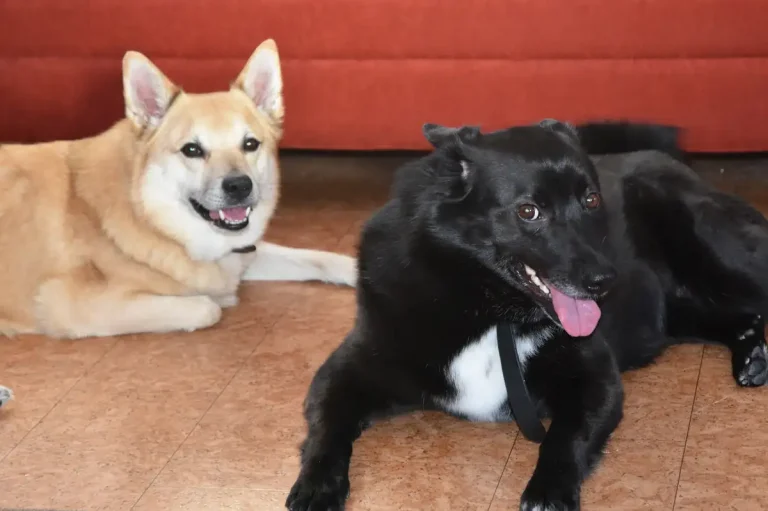 Sixten och Maja